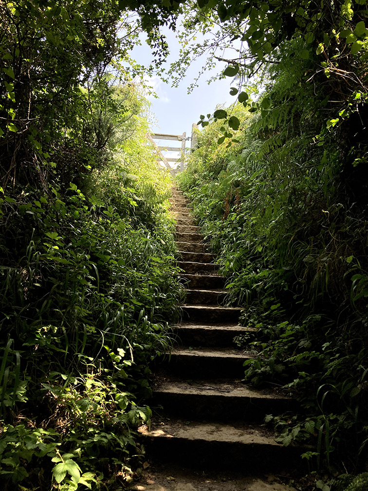 Steps - Julia Savage Counselling Margate